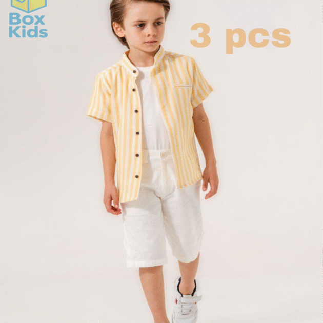 Ensemble ref13